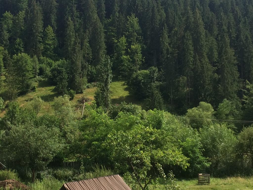 Casa De Vacanta Joldes Hotel Girda de Sus Bilik gambar