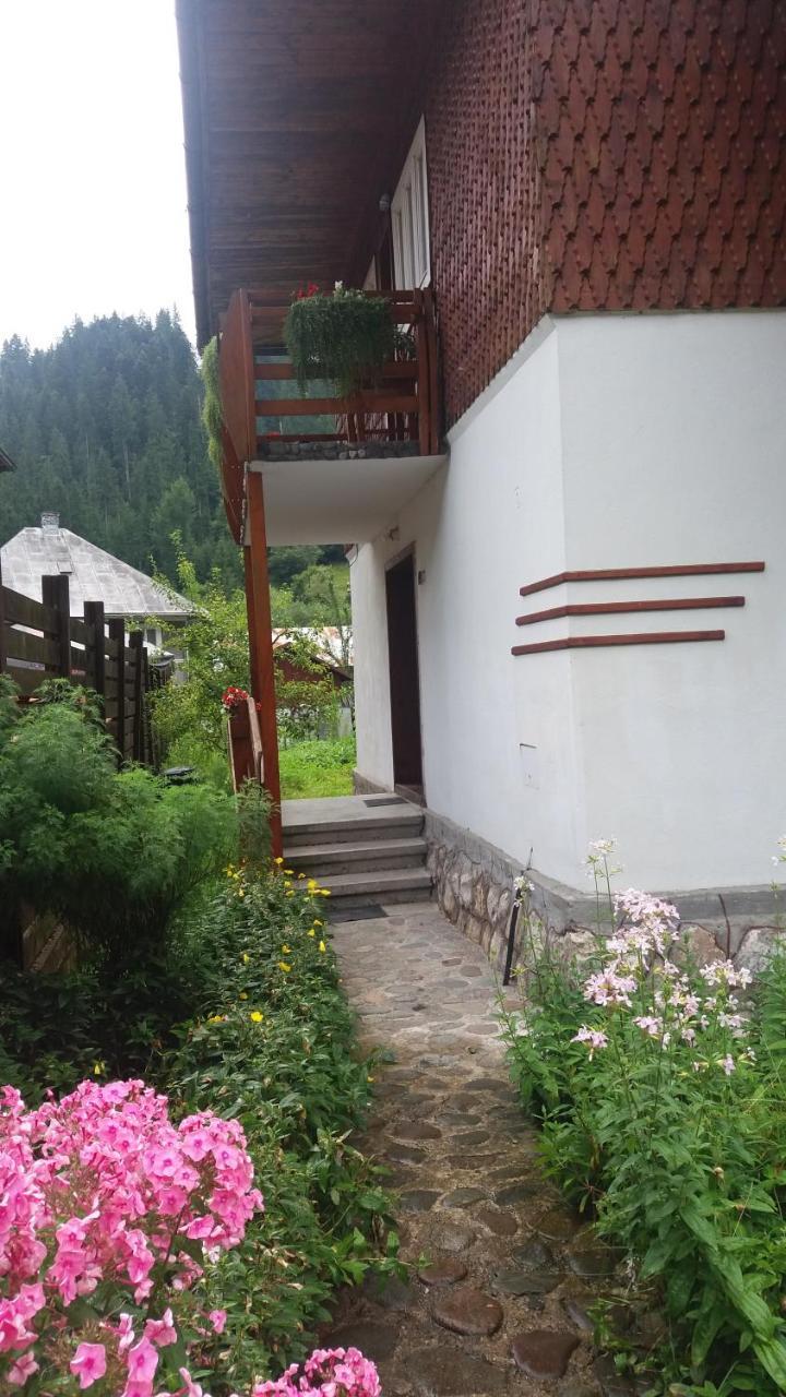 Casa De Vacanta Joldes Hotel Girda de Sus Luaran gambar